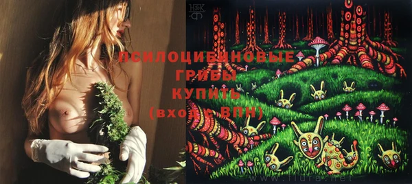стафф Балахна