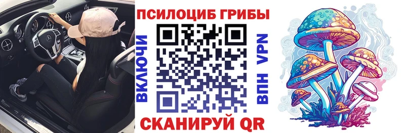 darknet телеграм  Стрежевой  Галлюциногенные грибы Cubensis  что такое наркотик 